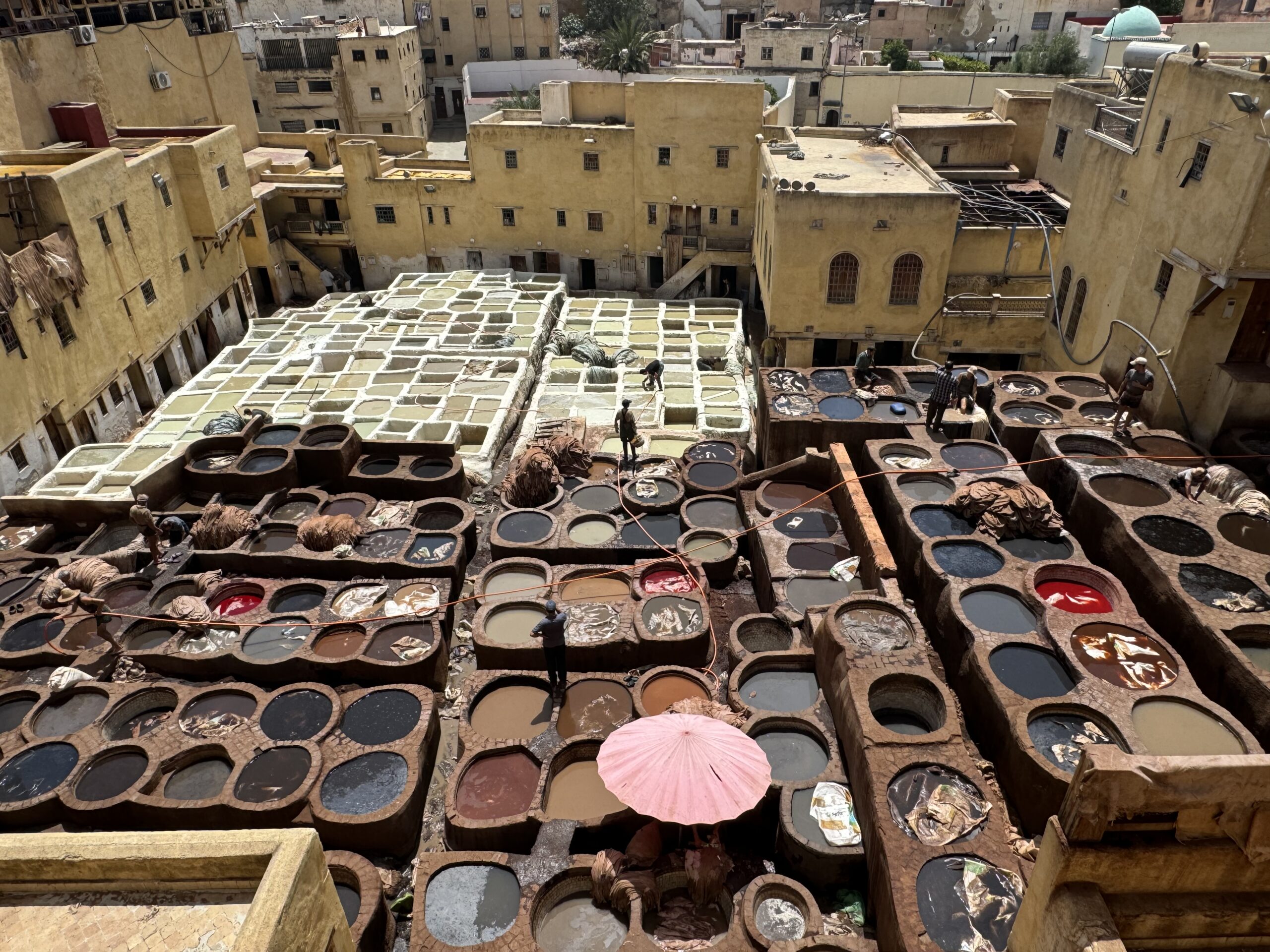 Mean Streets of the Medina