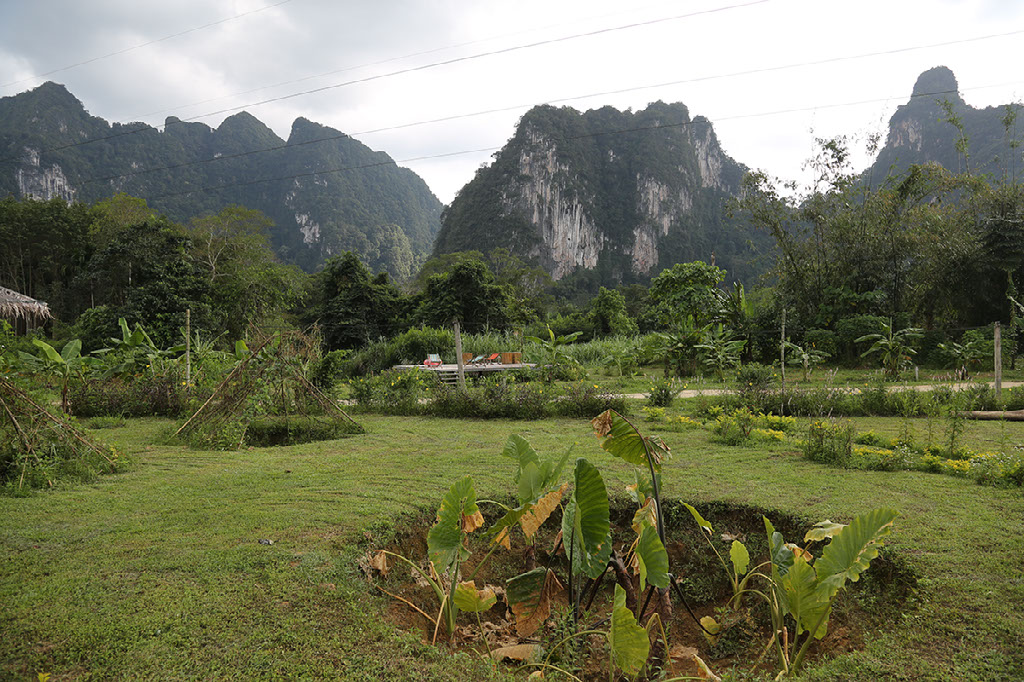 Ko Samui to Khao Sok